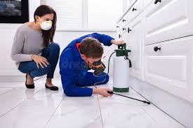 Emergency Pest Control Services in Kingsport, TN